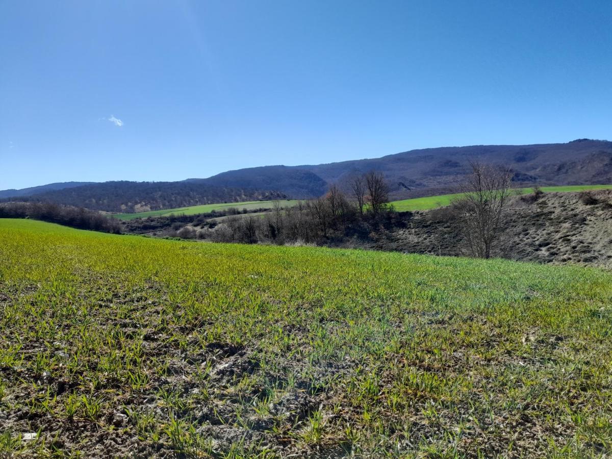 Maitia Villa Larraona Exteriör bild